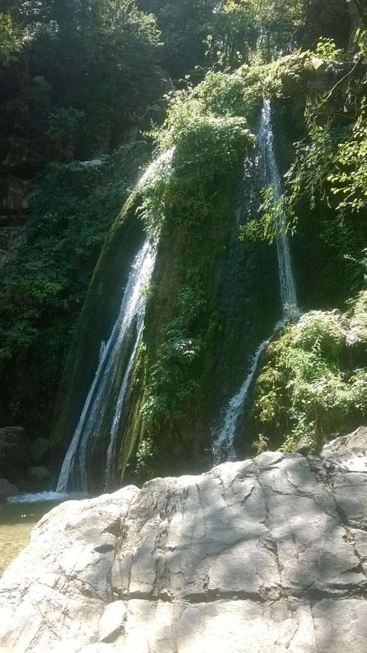 Villa Pavlina أوليمبياذا المظهر الخارجي الصورة